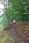 IMG_4404.jpg