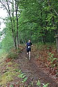 IMG_4414.jpg