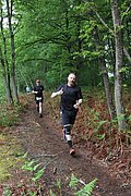 IMG_4424.jpg