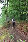 IMG_4437.jpg
