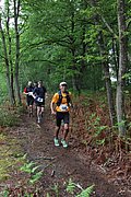 IMG_4445.jpg
