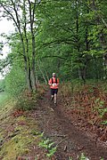 IMG_4454.jpg