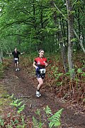 IMG_4464.jpg