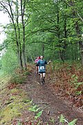 IMG_4495.jpg