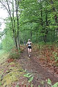 IMG_4520.jpg