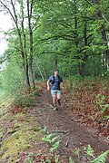 IMG_4522.jpg