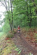 IMG_4532.jpg