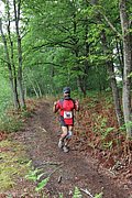IMG_4546.jpg