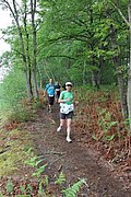 IMG_4551.jpg