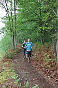 IMG_4552.jpg
