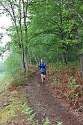 IMG_4556.jpg