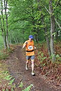 IMG_4559.jpg