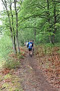 IMG_4569.jpg