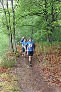 IMG_4570.jpg