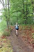 IMG_4597.jpg