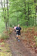 IMG_4601.jpg