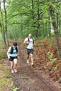 IMG_4624.jpg