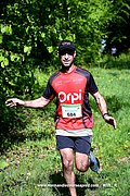 DSC_0089.jpg