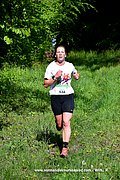 DSC_0107.jpg