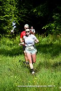 DSC_0240.jpg