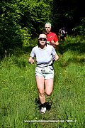 DSC_0245.jpg