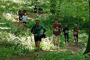 IMGP9541.jpg