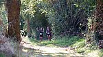 DSCF0143.jpg