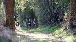 DSCF0146.jpg