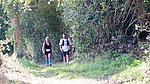 DSCF0262.jpg