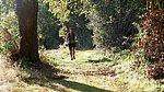 DSCF7736.jpg