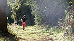 DSCF7955.jpg