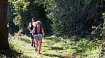 DSCF8313.jpg