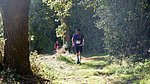 DSCF8465.jpg