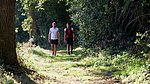 DSCF8513.jpg