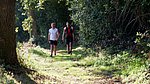 DSCF8514.jpg
