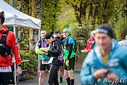 IMG_2591.jpg