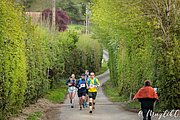 IMG_2623.jpg