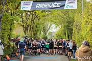 IMG_2629.jpg