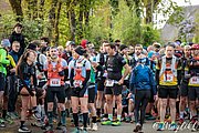 IMG_2632.jpg