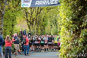 IMG_2641.jpg