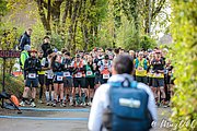 IMG_2647.jpg