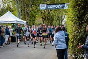IMG_2651.jpg