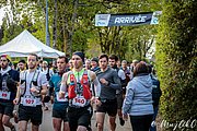 IMG_2656.jpg