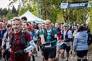 IMG_2665.jpg