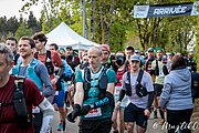 IMG_2666.jpg