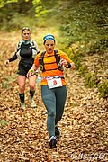 IMG_2953.jpg