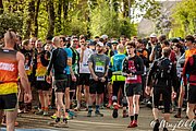 IMG_3058.jpg