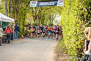 IMG_3076.jpg