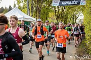 IMG_3081.jpg