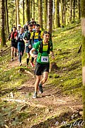 IMG_3216.jpg
